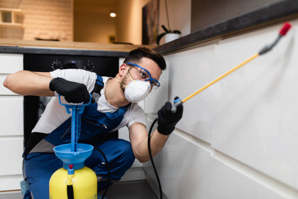Best Pest Control Near Me in Butler, OH