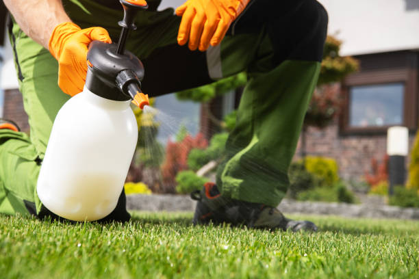 Best Rat Extermination Near Me  in Butler, OH