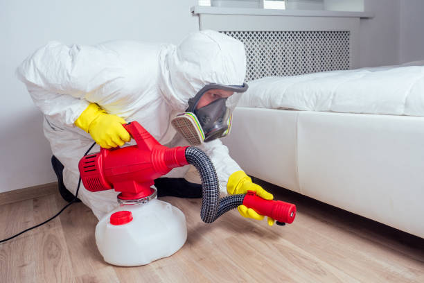 Best Local Pest Control Services  in Butler, OH