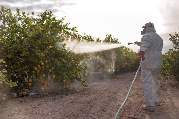 Best Pest Inspection Near Me  in Butler, OH