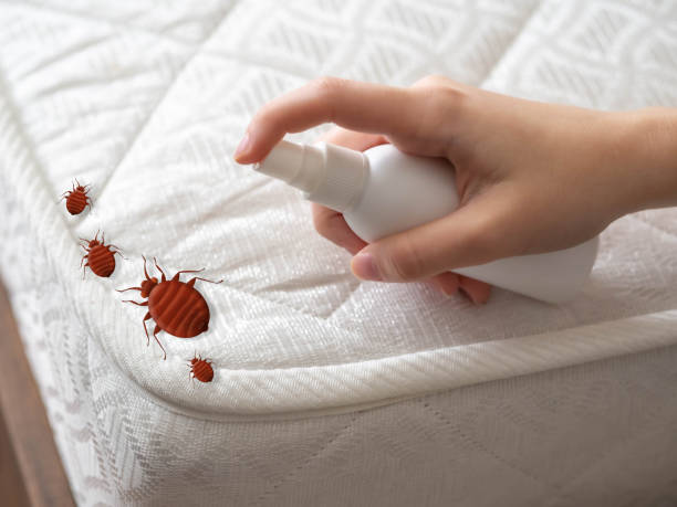 Best Bed Bug Extermination  in Butler, OH