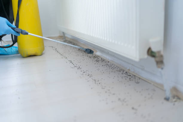 Best Mosquito Control Services  in Butler, OH